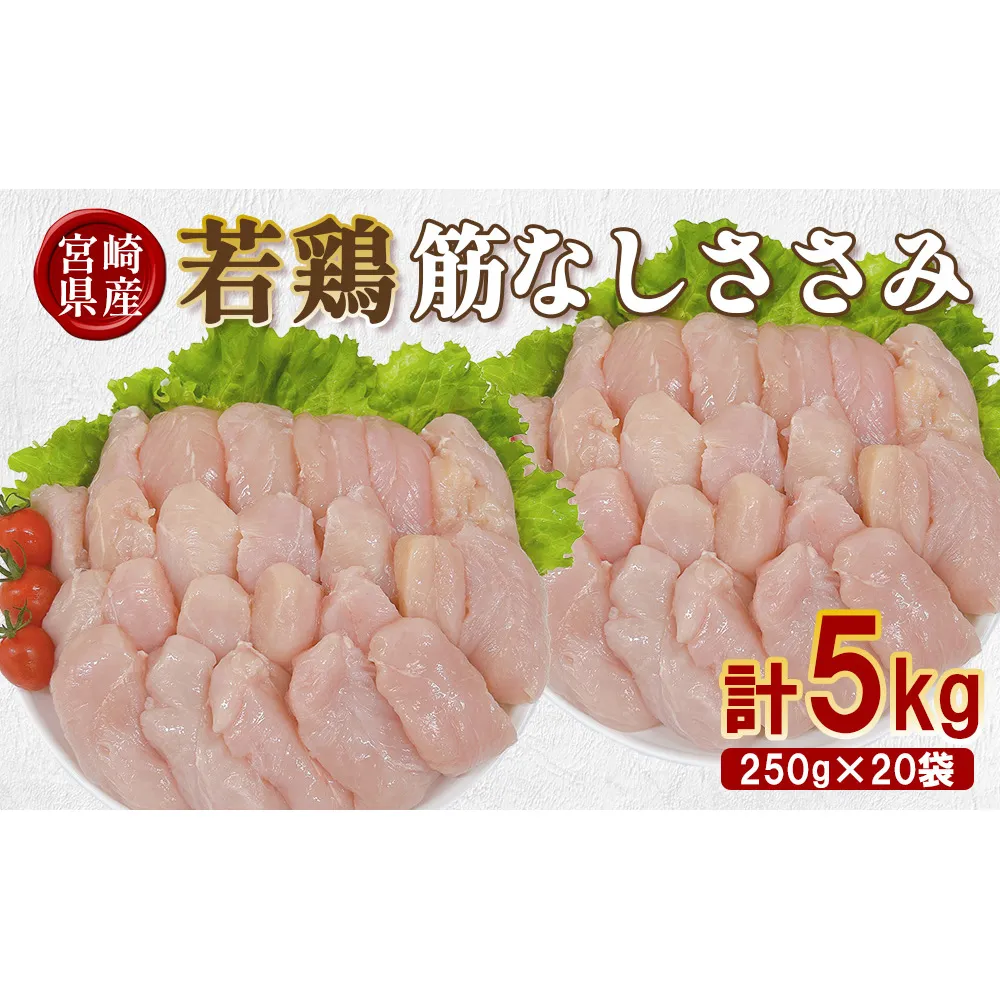 宮崎県産 若鶏筋なしささみ 5kgセット (250g×20袋) 鶏肉 ささみ 鶏ささみ 小分け 真空パック タンパク質 チキン冷凍 国産 宮崎県産 九州 送料無料