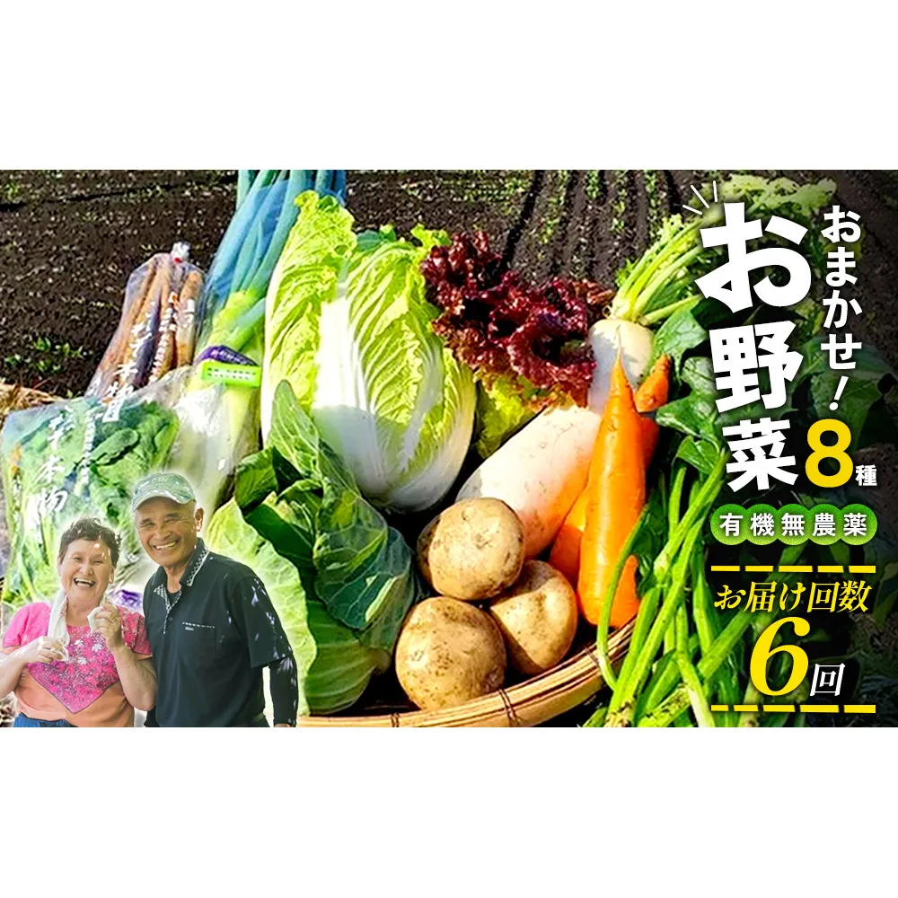 【6回定期便】特別栽培季節のお野菜セット 8品 野菜 無農薬 有機栽培 新鮮 やさい 旬 詰合せ 国産 宮崎県 九州 送料無料