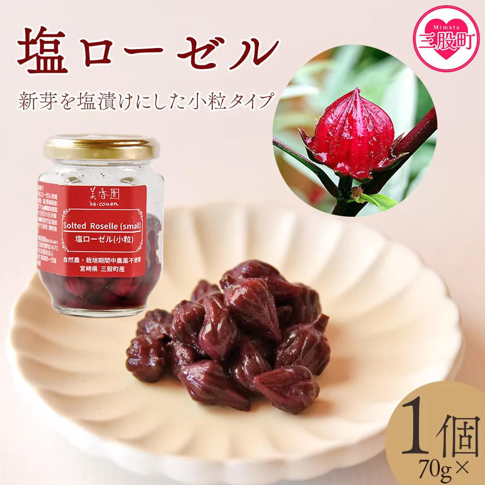 ＜塩ローゼル 【小粒】70g＞ 国産ハーブ 香りや風味が豊か しそ風味 梅風味 混ぜご飯 箸休め 薬味 漬物 和食 和風 おにぎりの具 ごはん ご飯 パン パスタ サラダ 調味料 塩漬け 宮崎県 三股町【MI680-bi】【美香園】