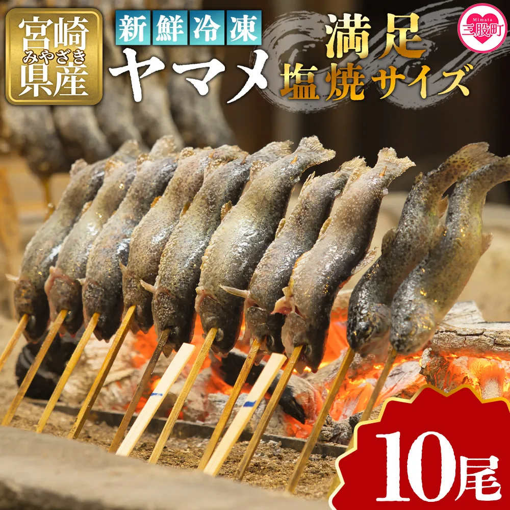 ＜新鮮冷凍ヤマメ 10尾＞国産 九州産 尺ヤマメ 山女魚 水産物 魚 魚介 川魚 養殖魚 塩焼き  バーベキュー BBQ 【MI771-sk】【有限会社しゃくなげの森】