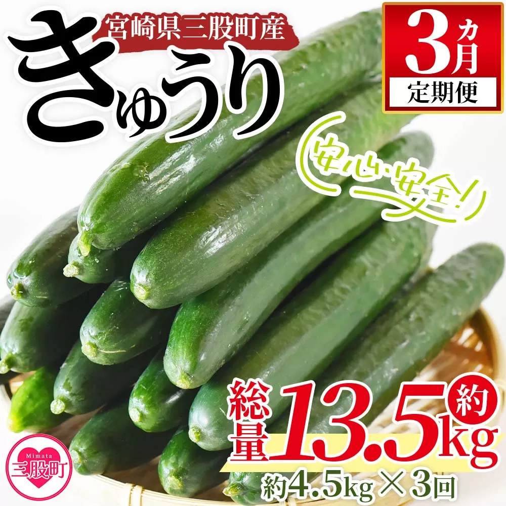 ＜【先行予約】【期間限定】【3ヵ月定期便】パリッと甘い魔法のきゅうり マジキュー約4.5kg×3回＞(総量約13.5kg・約4.5kg×3回)パリッと甘い魔法のキュウリ「マジキュー」漬物や天ぷらに！【MI200-yt】【ゆたか農園】
