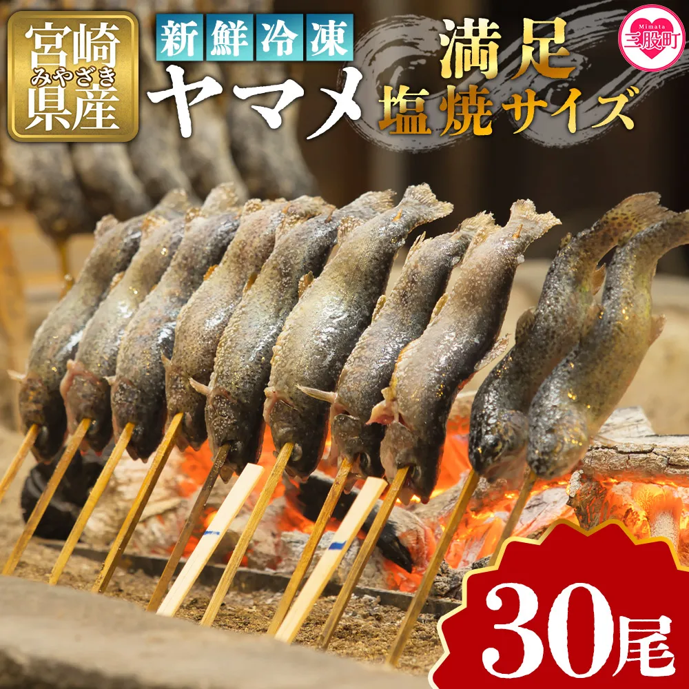 ＜新鮮冷凍ヤマメ 30尾＞国産 九州産 尺ヤマメ 山女魚 水産物 魚 魚介 川魚 養殖魚 塩焼き  バーベキュー BBQ 【MI772-sk】【有限会社しゃくなげの森】