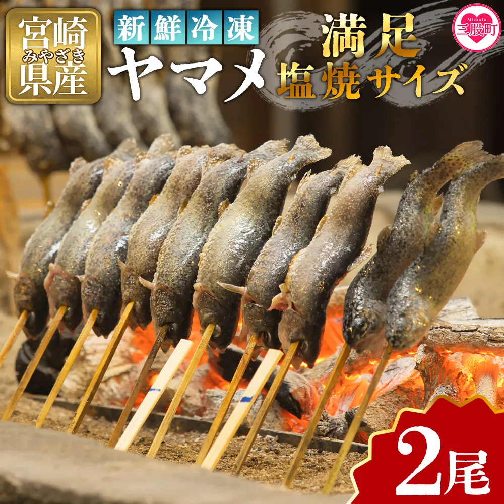 ＜新鮮冷凍ヤマメ 2尾＞国産 九州産 尺ヤマメ 山女魚 水産物 魚 魚介 川魚 養殖魚 塩焼き バーベキュー BBQ【MI770-sk】【有限会社しゃくなげの森】