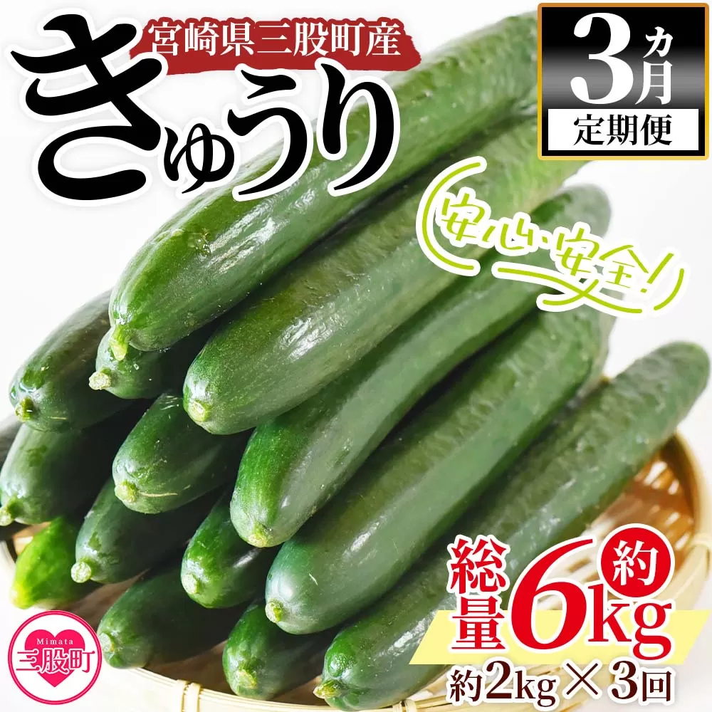[[3ヵ月定期便][期間限定]宮崎県産きゅうり(約2kg)×3回](総量約6kg・約2kg(3本入り×5袋)×3回)パリッと甘い魔法のキュウリ「マジキュー」漬物や天ぷらに![MI201-yt][ゆたか農園]