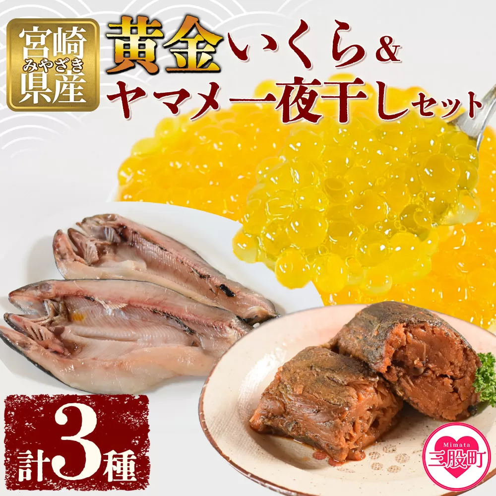 ＜黄金イクラとヤマメ一夜干しセット＞(3種)黄金イクラやヤマメを詰め合わせ！【A-0203-sk】【有限会社しゃくなげの森】