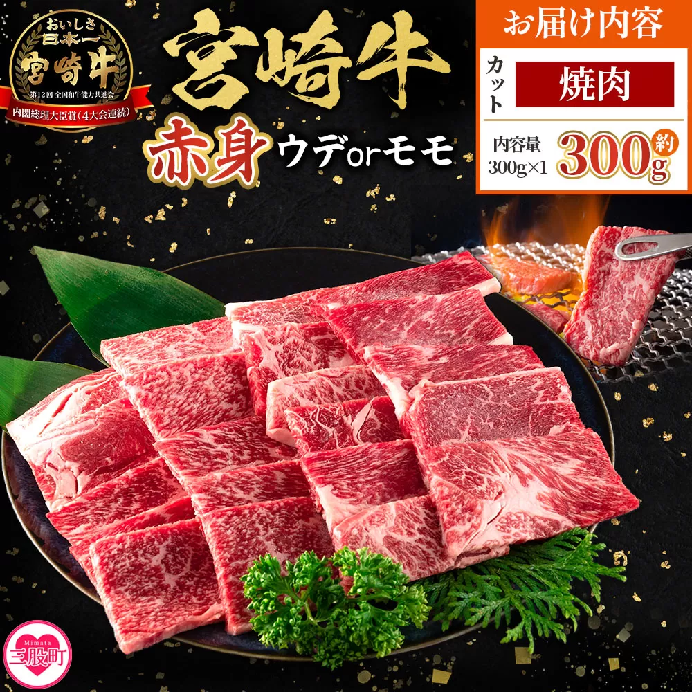 ＜宮崎牛赤身【焼肉】（ウデorモモ）300g＞【9月発送】脂控えめ ヘルシー あっさり うで もも 炒め物 肉料理 ご馳走 国産 ブランド牛肉 黒毛和牛【MI681-my-sep】【ミヤチク】