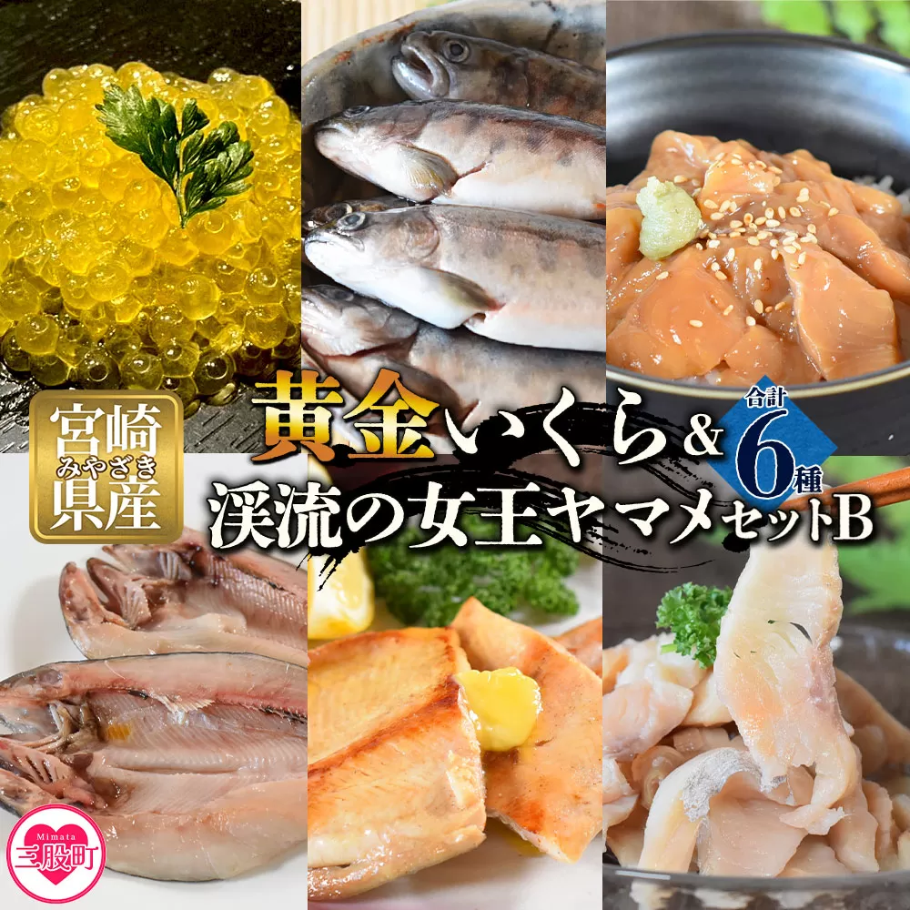 【先行予約】＜黄金イクラと渓流の女王ヤマメ逸品セットB＞(6種)黄金イクラやヤマメなどを詰め合せ！【B-0206-sk】【有限会社しゃくなげの森】
