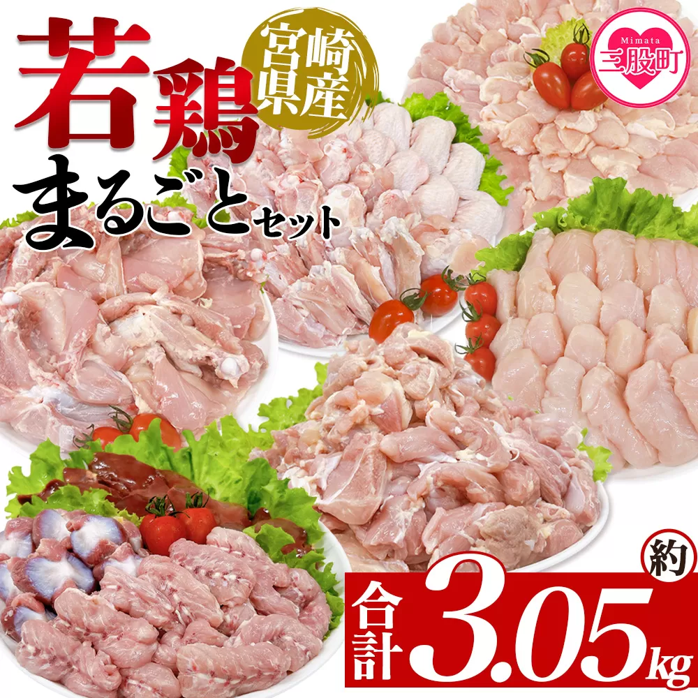 ＜宮崎県産若鶏まるごとセット 約3.05kg＞ 国産 鶏 肉 精肉 モモ もも肉 使いやすい パック 真空冷凍 切り身 選べる数量 お弁当 惣菜 からあげ 照り焼き 数量限定 BBQ バーベキュー 鶏ムネ 鶏むね 鳥モモ ささみ ササミ 小分け 【MI443-tr】【TRINITY】