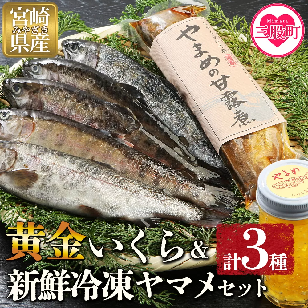 【先行予約】＜黄金イクラと新鮮冷凍ヤマメセット＞(3種)黄金イクラやヤマメを詰め合わせ！【A-0202-sk】【有限会社しゃくなげの森】