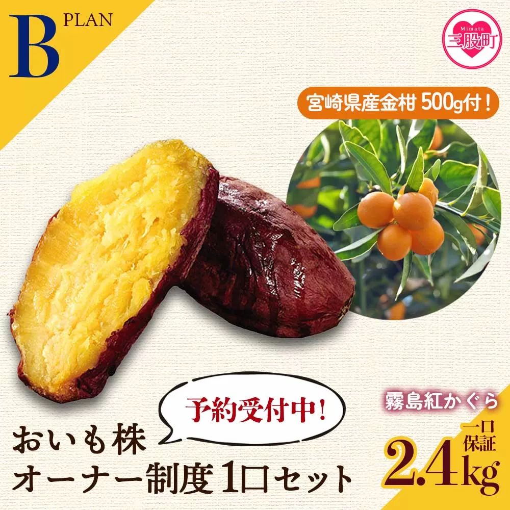 ＜【B】おいも株オーナー制度1口セット2株 霧島紅かぐら(最低2.4kg保証)+特産品＞12月中旬頃に熟成されたさつまいもときんかんをお届け！【MI187-sh-t】【株式会社育みの里しろはと】