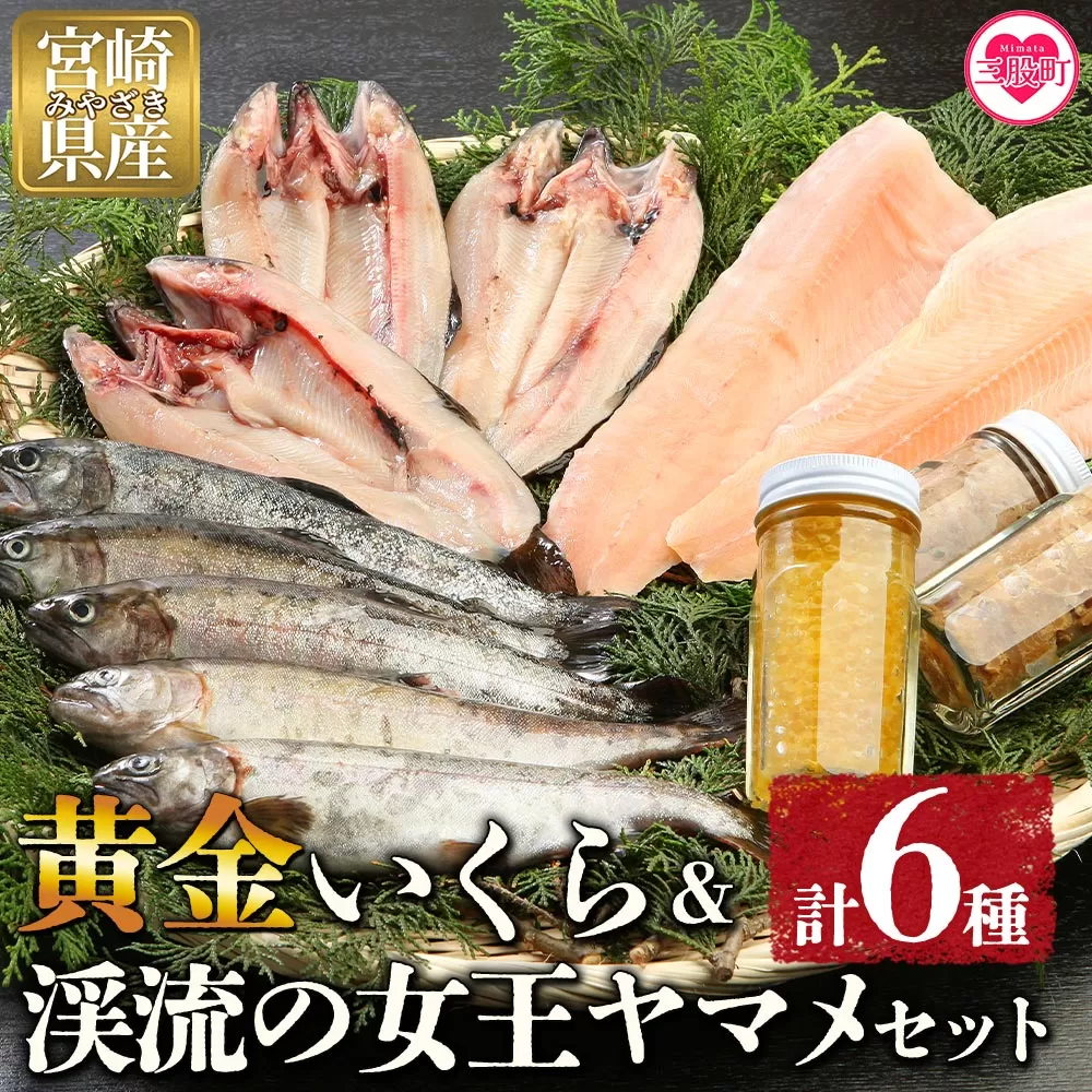 【先行予約】＜黄金イクラと渓流の女王ヤマメ逸品セット＞(6種)黄金イクラやヤマメなどを詰め合せ！【B-0204-sk】【有限会社しゃくなげの森】