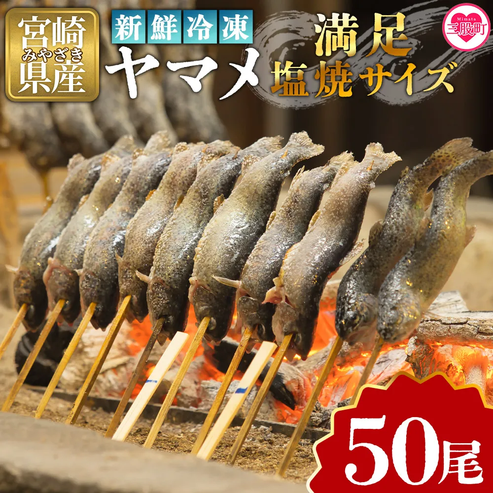 ＜新鮮冷凍ヤマメ 50尾＞国産 九州産 尺ヤマメ 山女魚 水産物 魚 魚介 川魚 養殖魚 塩焼き  バーベキュー BBQ【MI773-sk】【有限会社しゃくなげの森】