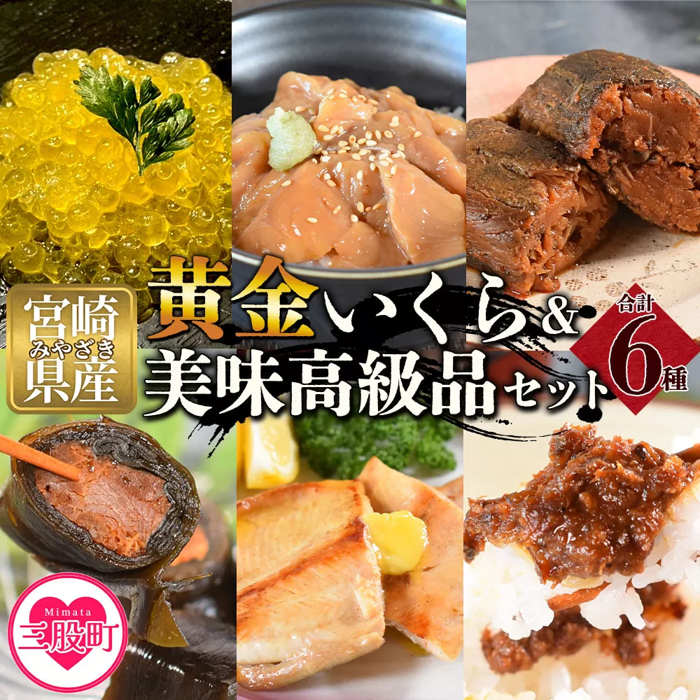 【先行予約】＜黄金イクラと美味高級品セット＞(6種)黄金イクラやヤマメなどを詰め合せ！【B-0205-sk】【有限会社しゃくなげの森】