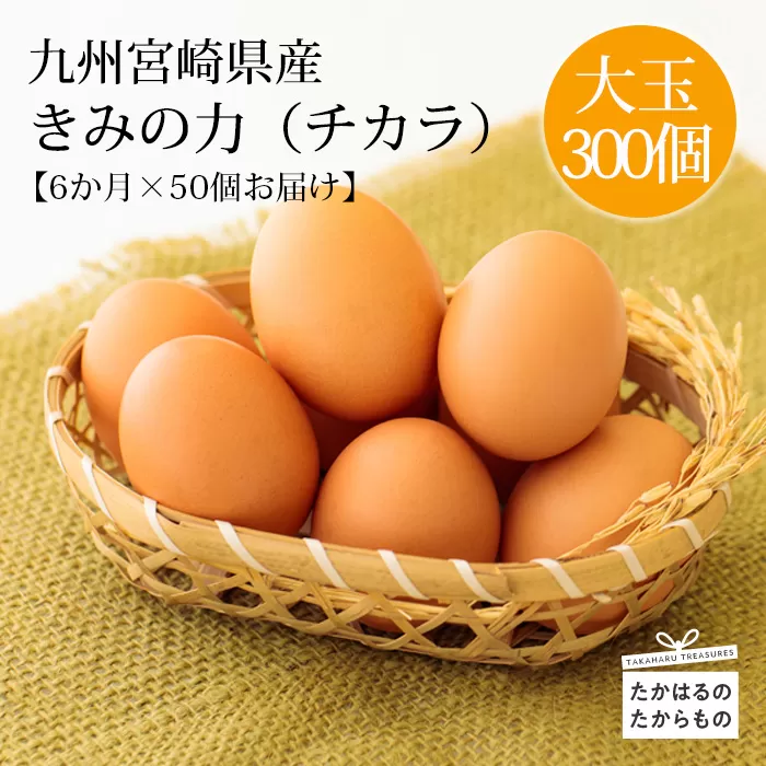 《赤たまごの定期便》年6回×大容量50個 計300個 宮崎県産きみの力(チカラ)Lサイズ赤卵  ミネラルたっぷりのカキガラや上質な飼料ですくすく育った鶏の卵は甘くておいしい逸品 [たまご 玉子 6ヶ月間 50000円 5万円] TF0448