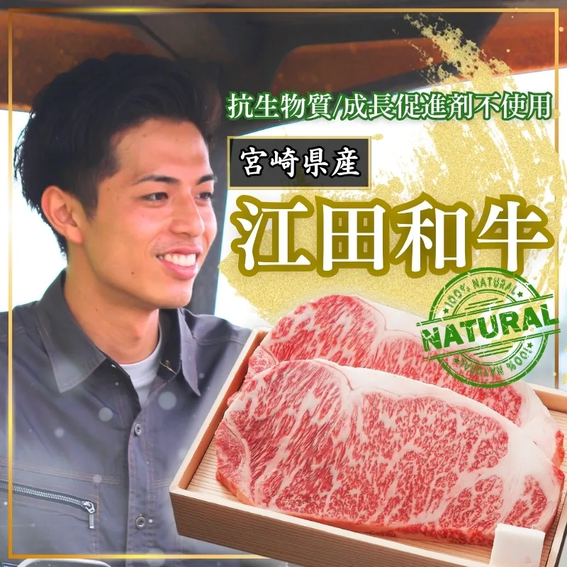 厳選 江田和牛 サーロインステーキ 600gセット(200g×3枚)  日本一のブランド牛「宮崎牛」 [希少 国産 黒毛和牛 冷凍 ギフト A5 牛肉 お肉 宮崎県 ワンストップオンライン対応] TF0695-P00051