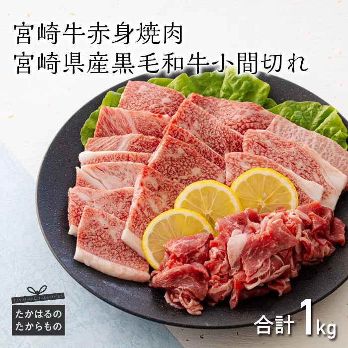 宮崎牛赤身肉の焼肉(ウデまたはモモ)800g＆黒毛和牛小間切れ 200g TF0545