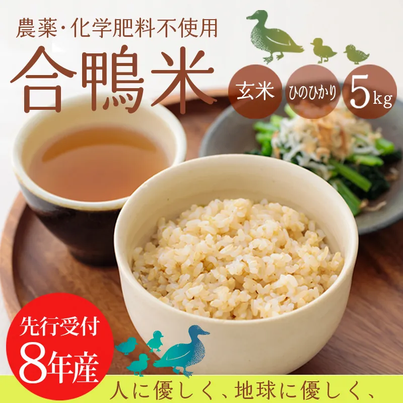 【先行受付】令和8年産 無農薬栽培 合鴨米ひのひかり(玄米)5kg TF0424-P00029