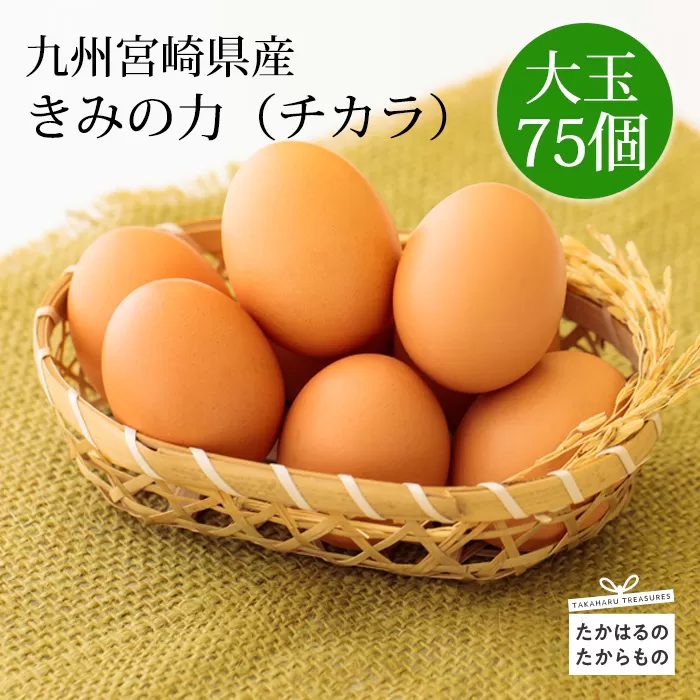 宮崎県産の赤たまご『きみの力(チカラ)』大容量75個Lサイズの赤卵 ミネラルたっぷりのカキガラや上質な飼料ですくすく育った鶏の卵は甘くておいしい逸品 新鮮 たまご L玉 玉子 大玉 10000円 1万円 TF0406-P00035