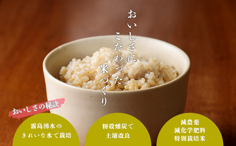 新米》《先行予約》2024年産(令和6年産)「きりしまのゆめ