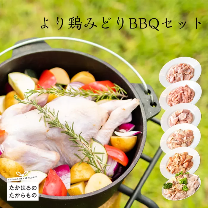 より鶏みどりBBQセット バーベキューにピッタリな味付きチキンの詰め合わせ [BBQ バーベキュー ホームパーティ イベント ソロキャンプ 小分け 時短調理 簡単調理 手羽先 鶏肉 若鶏のモモ肉 お肉 さつま地鶏屋]   TF0474-P00033