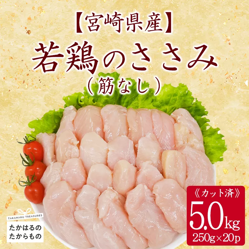 宮崎県産若鶏ささみ（筋なし）5.0kg（250g×20P） TF0840-P00063