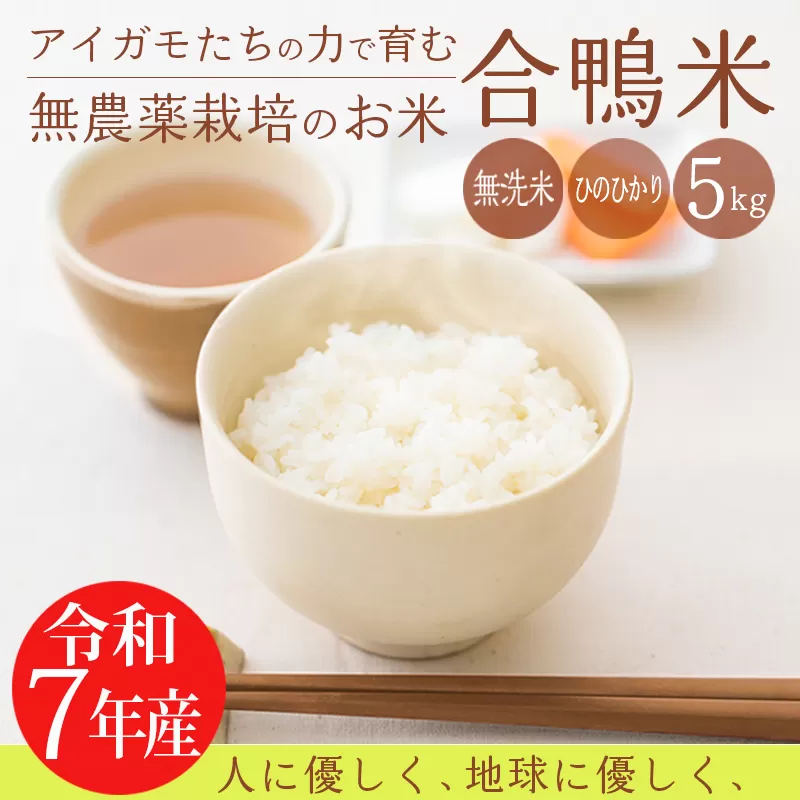 【先行予約】《令和7年産 新米》無農薬栽培 合鴨米ひのひかり(無洗米)5kg [先行受付 2025年産] TF0422-P00029