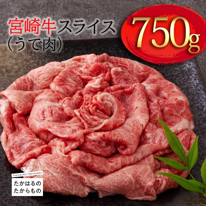 《A5・A4ランク》宮崎牛スライス(うで肉)約750g 内閣総理大臣賞受賞の黒毛和牛 [ブランド牛 牛肉] TF0571-P00012