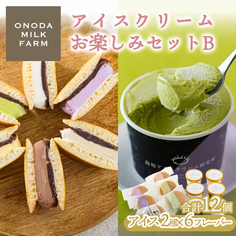 《宮崎県グルメコンテスト2連覇》高原アイスクリーム研究所のお楽しみBセット カップアイスやアイスサンド2種12個詰め合わせ [全国おやつランキング4位 スイーツ デザート ジェラート お菓子] TF0725-P00023