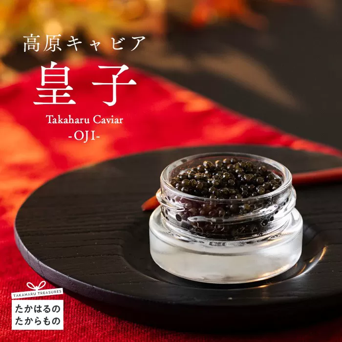 Takaharu Caviar(たかはるキャビア)『皇子』20g フレッシュキャビア [高級 国産 バエリ ギフト 贈答 贈り物 プレゼント 化粧箱付き いこいの家] TF0513