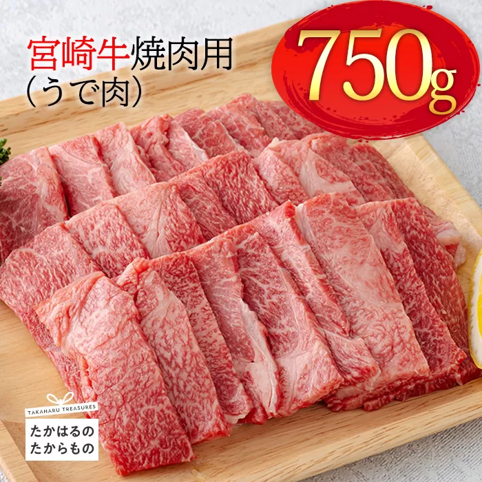 《A5・A4ランク》宮崎牛焼肉用(うで肉)約750g 内閣総理大臣賞受賞の黒毛和牛 [ブランド牛 牛肉] TF0569-P00012