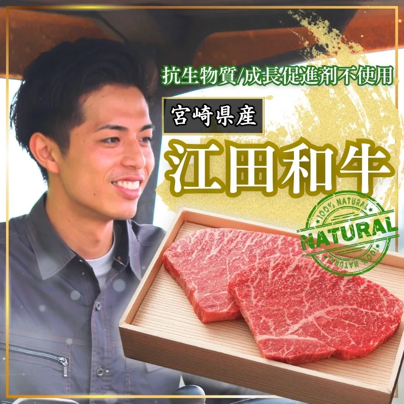 厳選 江田和牛 モモステーキ 800gセット(200g×4枚)  日本一のブランド牛「宮崎牛」 [希少 国産 黒毛和牛 冷凍 ギフト A5 牛肉 お肉 宮崎県 ワンストップオンライン対応] TF0744-P00051