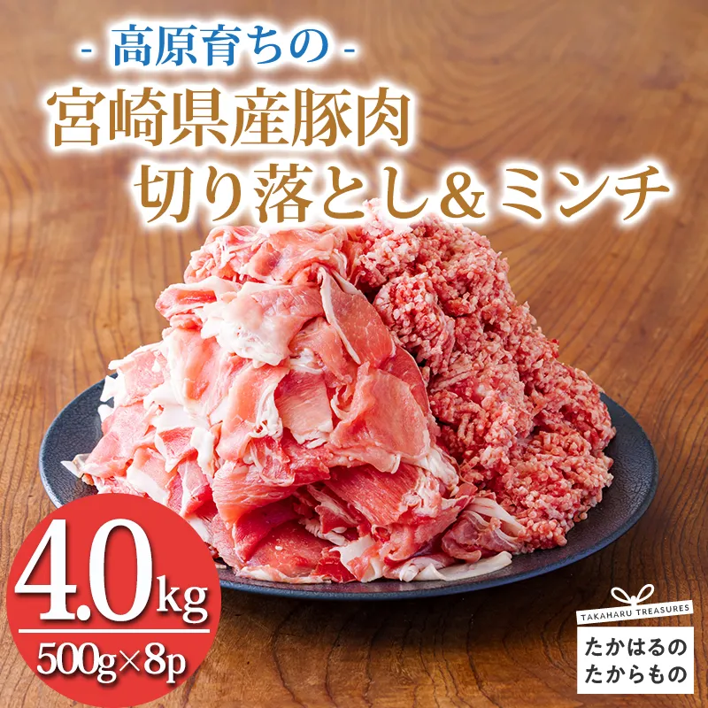 国産 豚肉切り落とし&豚肉ミンチ 豚肉2種詰め合わせセット 合計4000g TF0767-P00070