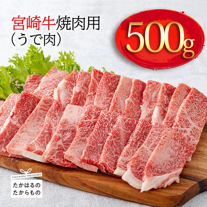 《A5・A4ランク》宮崎牛焼肉(うで肉) 約500g 内閣総理大臣賞受賞の黒毛和牛 [ブランド牛 牛肉] TF0568-P00012