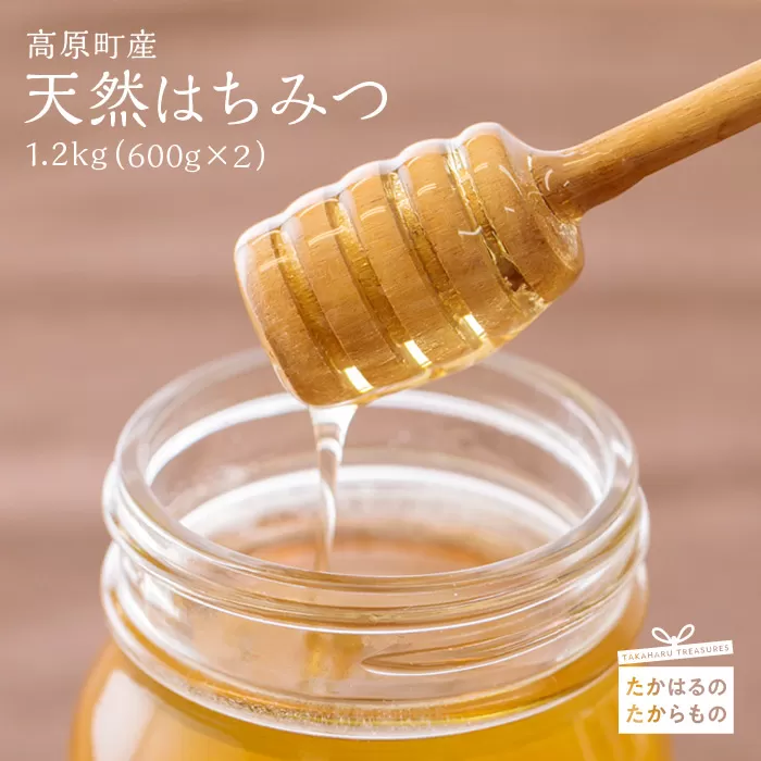高原町産天然はちみつ 1.2kg(600g×2本) 国産のおいしい蜂蜜 TF0364