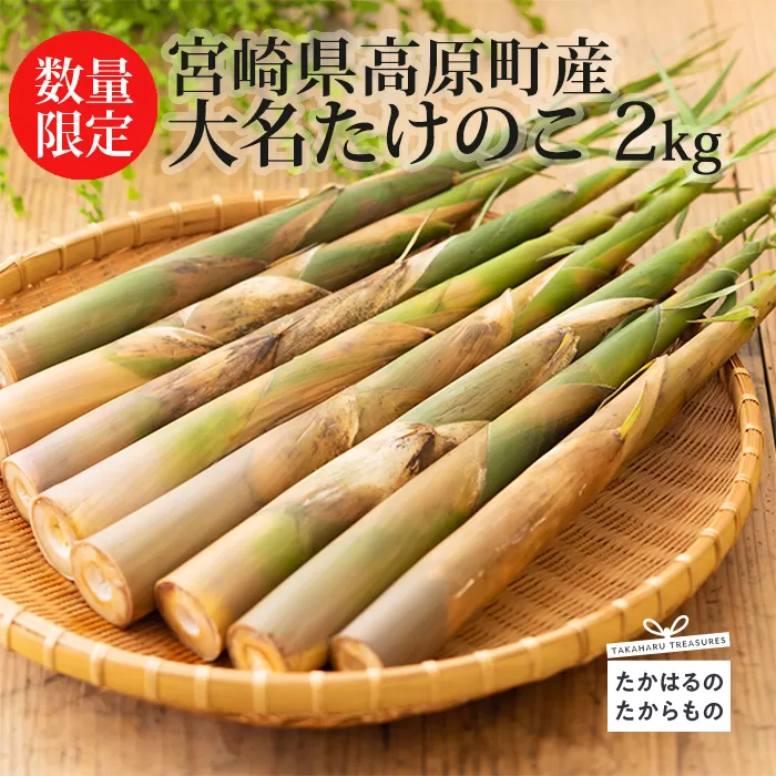 【期間限定・先行受付】《旬の味わい》宮崎県高原町産「大名たけのこ」約2kg 国産の筍をお届け! TF0409-P00036