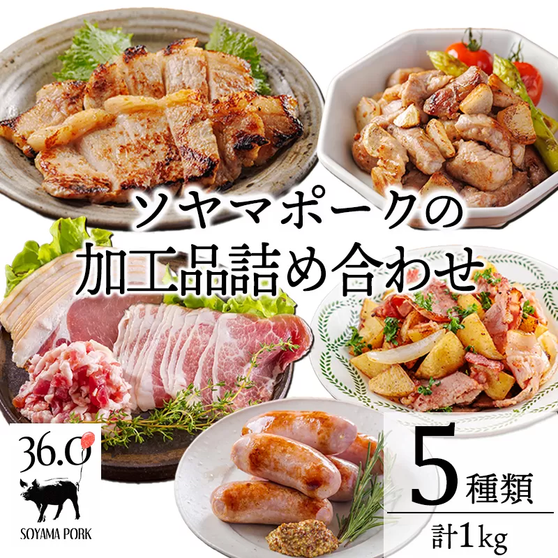 ソヤマポークの加工品詰め合わせTF862-P00078