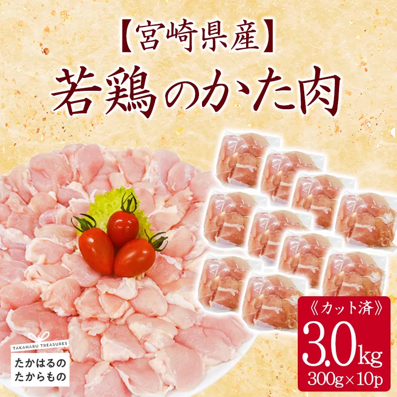 宮崎県産若鶏肩肉3.0kg（300g×10P）TF0836-P00063