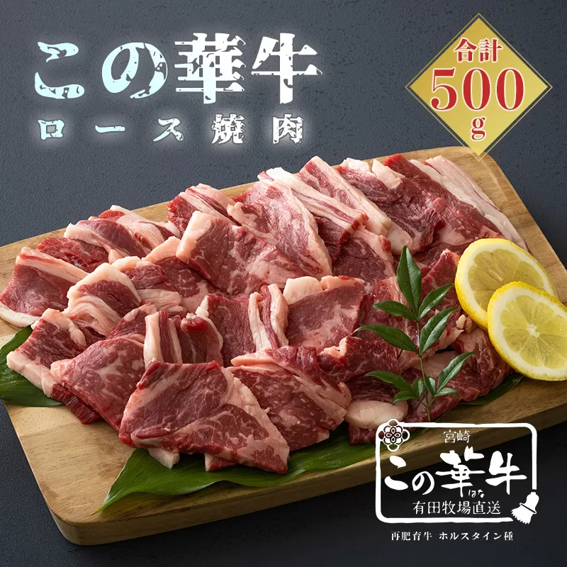 高原有田牧場直送 この華牛 ロース焼肉(500g) TF0460