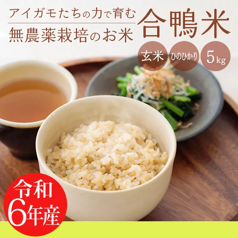 《令和6年産》無農薬栽培 合鴨米ひのひかり(玄米)5kg TF0424-P00029