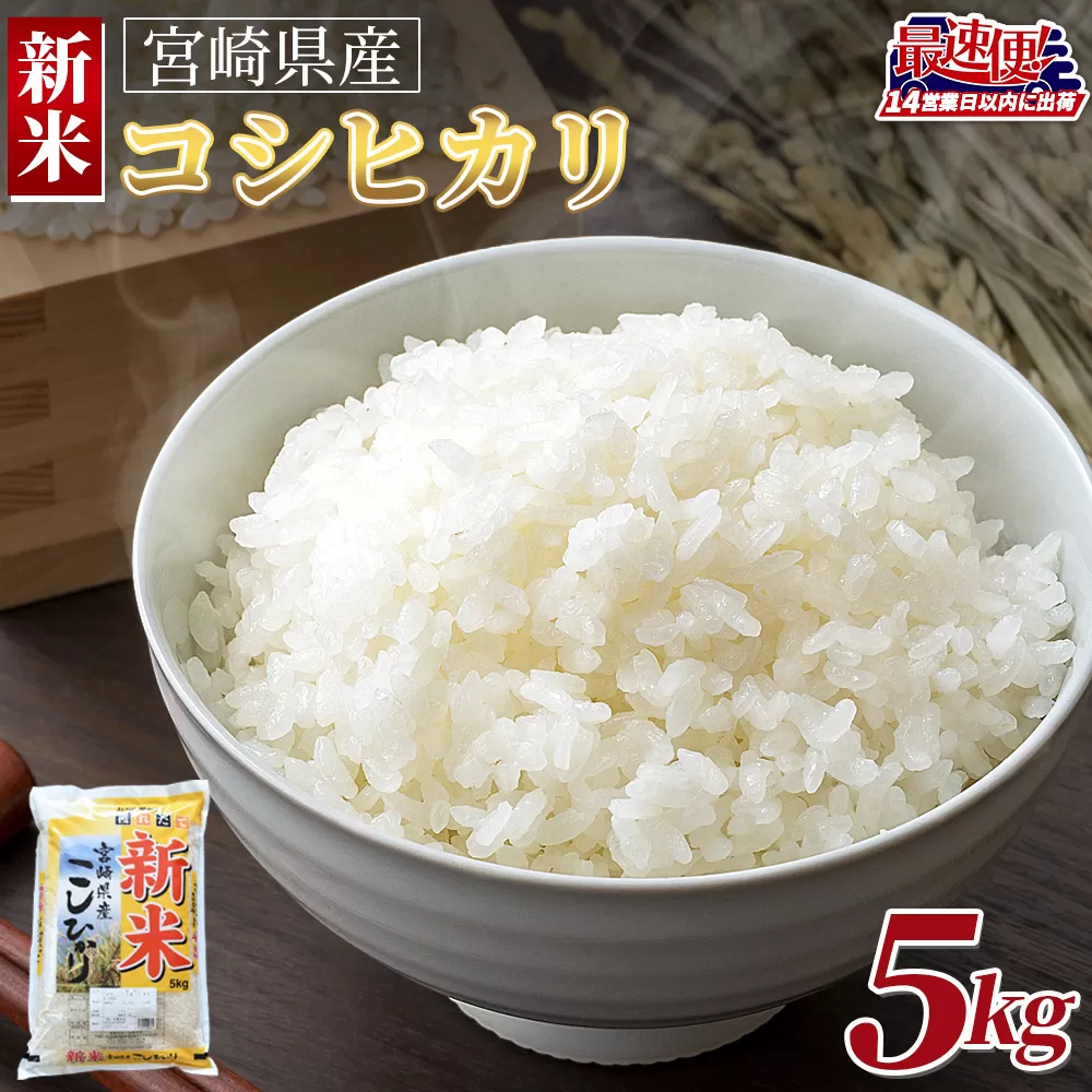 ＜令和7年度産新米　宮崎県産コシヒカリ　5kg＞14営業日以内に順次出荷【 国産 米 お米 最速便 白米 精米 こしひかり ごはん ご飯 白飯 食品 】