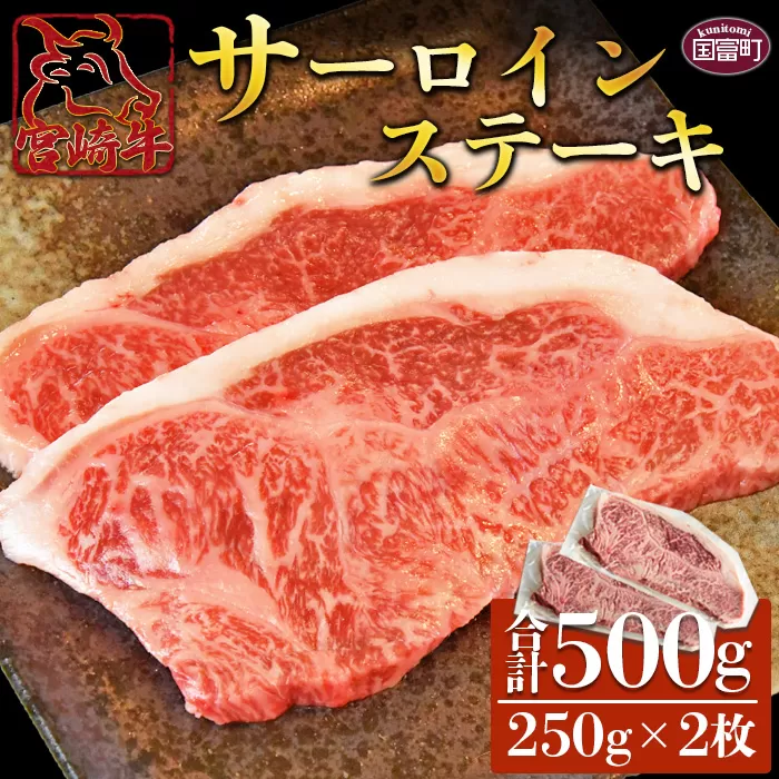 ＜宮崎牛 サーロインステーキ 250g×2枚＞翌月末迄に順次出荷
