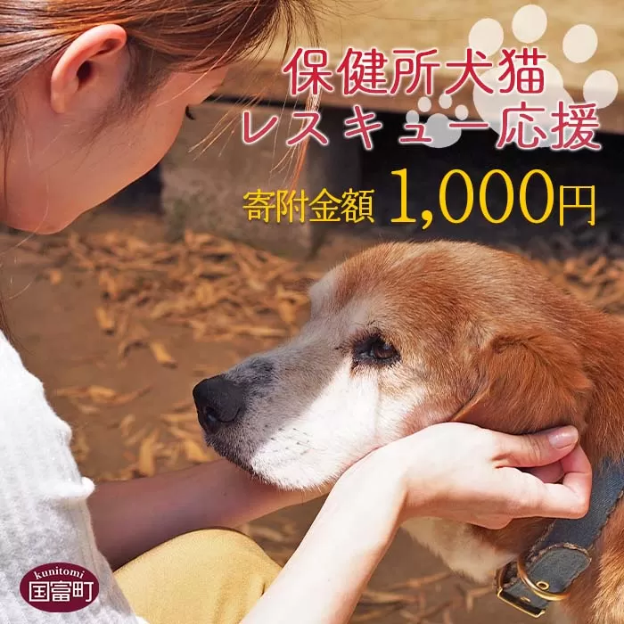 ＜保健所犬猫レスキュー【返礼品なしのご寄附】＞【 動物愛護 愛護活動 保護 犬 猫 いぬ ねこ イヌ ネコ 動物 どうぶつ ペット 応援 支援 寄付 使い道 寄附のみ いのちのはうす保護家 】