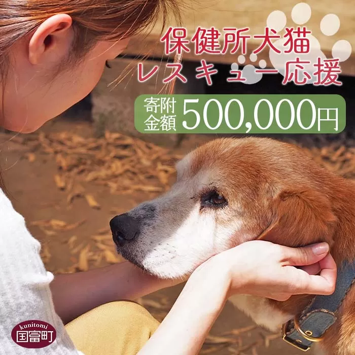 ＜保健所犬猫レスキュー【返礼品なしのご寄附】＞寄付金額500,000円※お礼状をお送りいたします。【 動物愛護 保護 犬 猫 いぬ ねこ イヌ ネコ 動物 どうぶつ ペット 応援 支援 寄付 使い道 いのちのはうす保護家 】