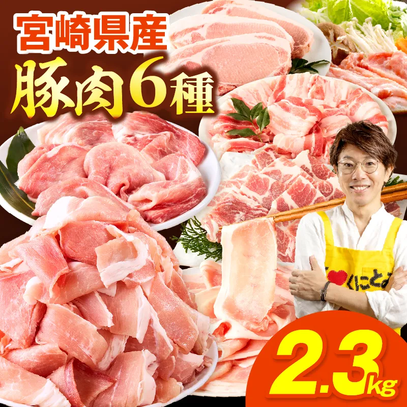 豚肉バラエティー詰合せセット【2.3kg】豚肉 豚肉詰め合わせ セット 小間切れ ウデ モモ スライス ロース バラ 肩ロース とんかつ 冷しゃぶ 豚汁 生姜焼き 国産 プレゼント 贈答 贈り物 ギフト