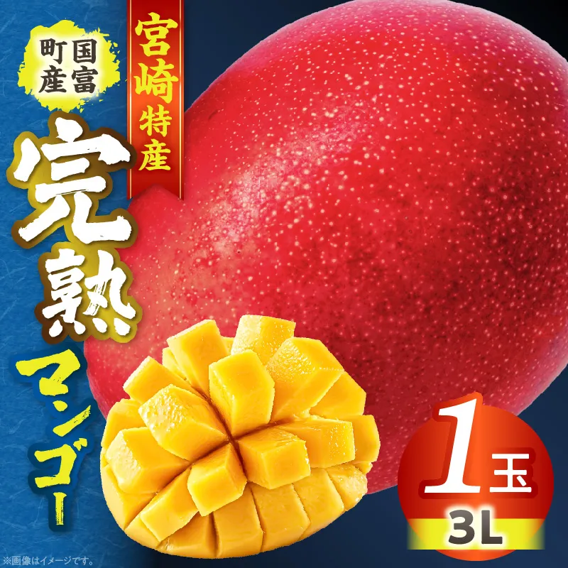 宮崎特産！国富町産の完熟マンゴー 1玉（3L）