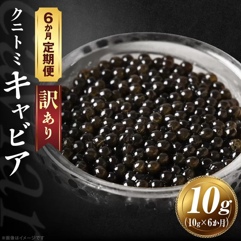 【訳あり】6か月定期便 クニトミキャビア 10g キャビア 国産 国産キャビア 高級 宮崎県産 珍味 おつまみ 酒の肴 家飲み 冷凍 訳あり お取り寄せ グルメ パーティー ワイン シャンパン 記念日 ご褒美 おもてなし 魚卵 宮崎県 国富町