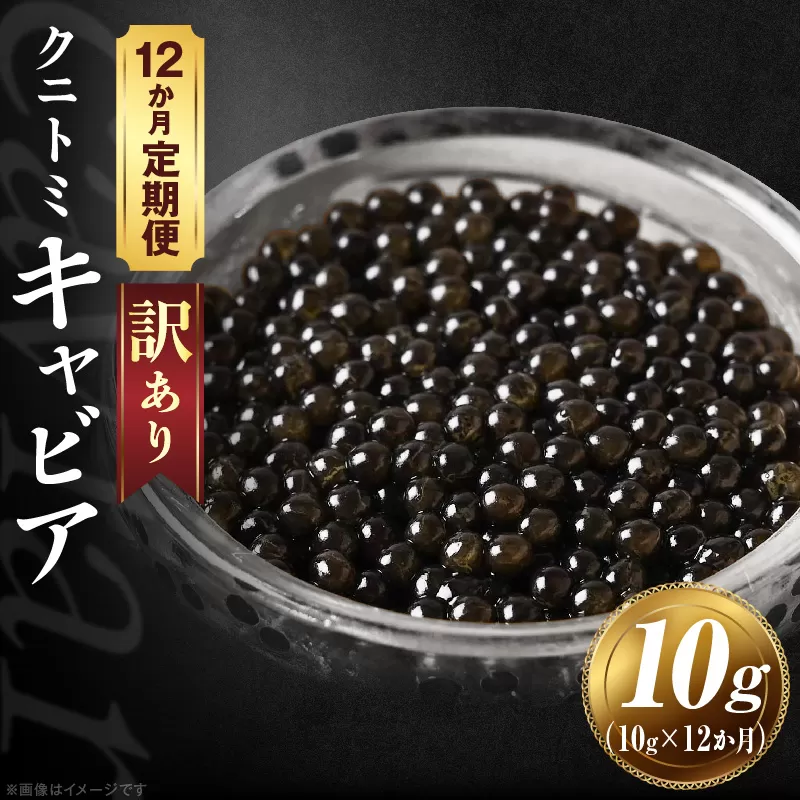 【訳あり】12か月定期便 クニトミキャビア 10g キャビア 国産 国産キャビア 高級 宮崎県産 珍味 おつまみ 酒の肴 家飲み 冷凍 訳あり お取り寄せ グルメ パーティー ワイン シャンパン 記念日 ご褒美 おもてなし 魚卵 宮崎県 国富町