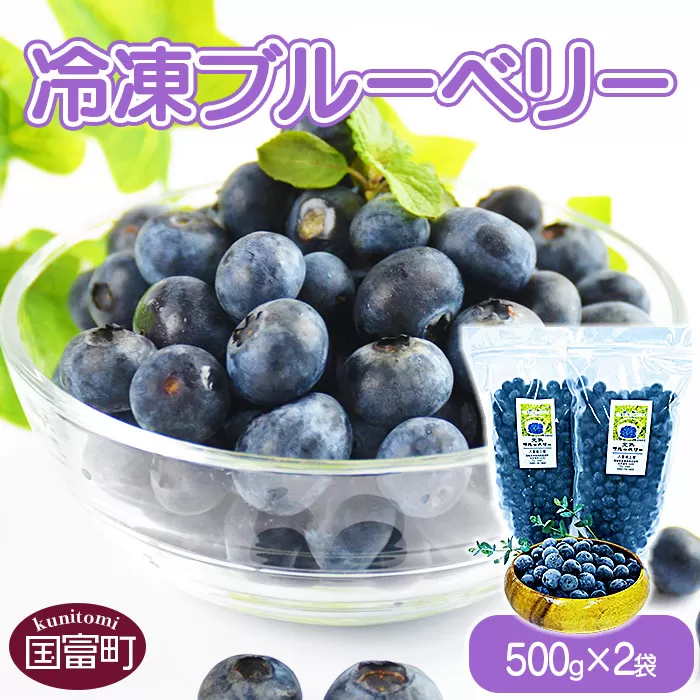 八重尾工房が贈る 農園直送！＜冷凍ブルーベリー(500g×2袋)＞【 フルーツ 果物 お菓子作り ケーキ 朝食 パン ヨーグルト ジュース 保存 冷凍 冷凍庫 】翌月末迄に順次出荷