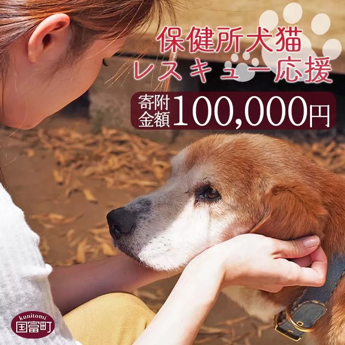 ＜保健所犬猫レスキュー【返礼品なしのご寄附】＞寄付金額100,000円※お礼状をお送りいたします。【 動物愛護 保護 犬 猫 いぬ ねこ イヌ ネコ 動物 どうぶつ ペット 応援 支援 寄付 使い道 いのちのはうす保護家 】