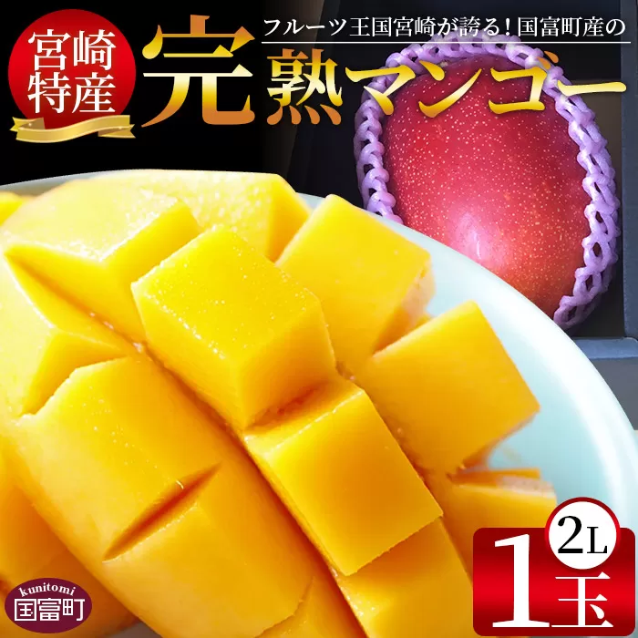 期間限定！2025年発送 ＜宮崎特産！国富町産の完熟マンゴー 1玉（2L）＞2025年4月中旬〜6月中旬迄に順次出荷